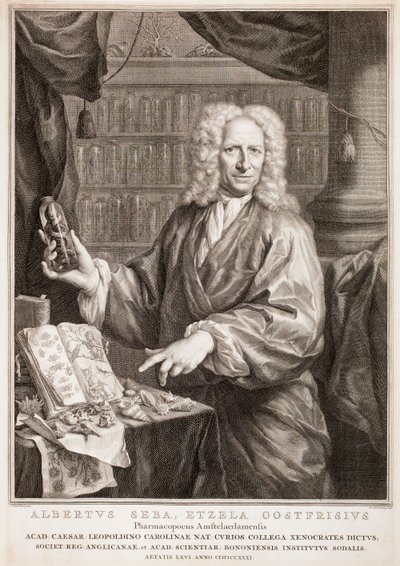Albertus Seba portréja, Jan Maurits Quinkhard nyomán alkotó: Jacobus Houbraken