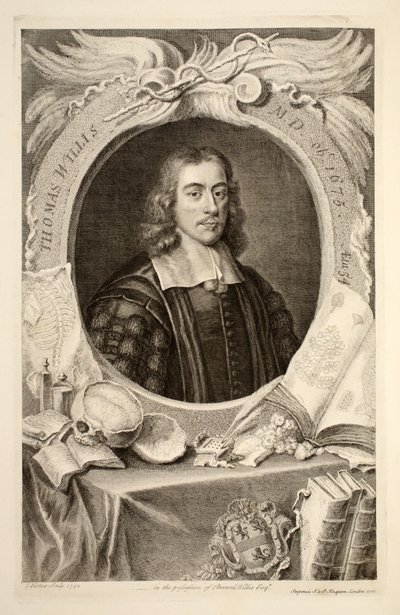 Thomas Willis, M.D. portréja, illusztráció a „Heads of Illustrious Persons of Great Britain”, pub. Írta: Knapton, London, 1742 alkotó: Jacobus Houbraken