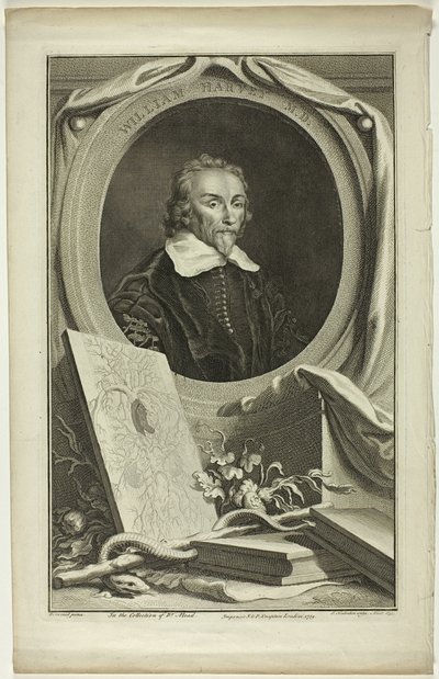William Harvey, M.D. alkotó: Jacobus Houbraken