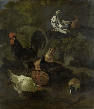 Egy kakas alkotó: Jacomo (1640-1705) Victors