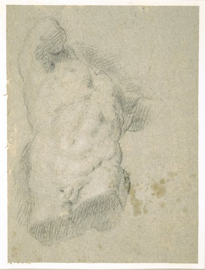 Férfi törzs rajza (szén, kék papíron) alkotó: Jacopo Bassano