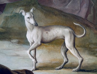 Kutya, részlet Jacopo Guarana (1720-1808) freskójából, a Villa Contarini központi csarnoka, Valnogaredo, Veneto, Olaszország alkotó: Jacopo Guarana