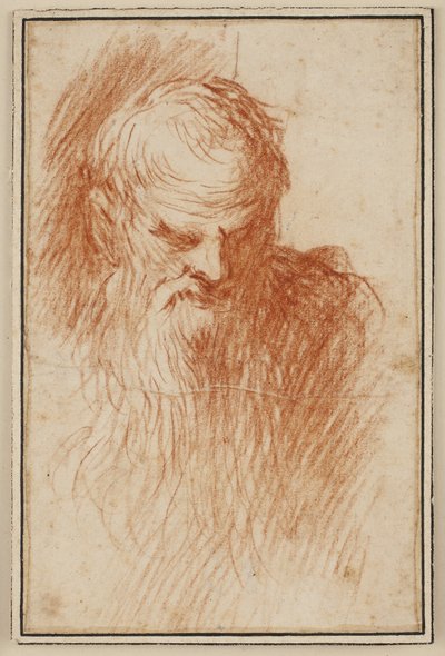 Egy szakállas férfi feje alkotó: Jacopo Palma