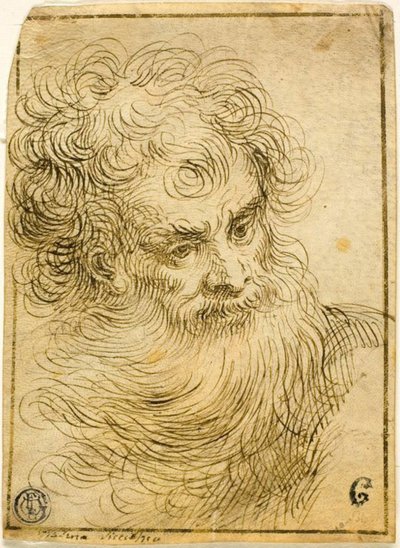 Szakállas Öreg feje (recto); Virág és levelek dekoratív vázlata (fordítva) alkotó: Jacopo Palma il Giovane