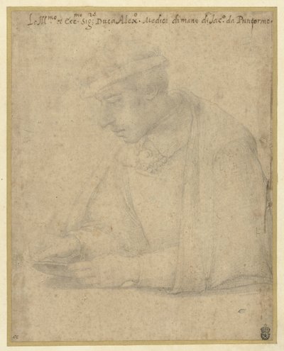 Sándor de Medici alkotó: Jacopo Pontormo