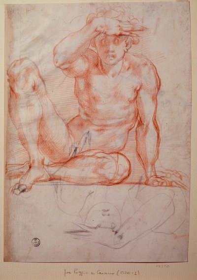 Meztelen férfi – Rajz alkotó: Jacopo Pontormo