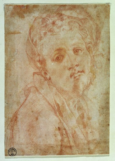 Önarckép (vörös kréta, papír) alkotó: Jacopo Pontormo