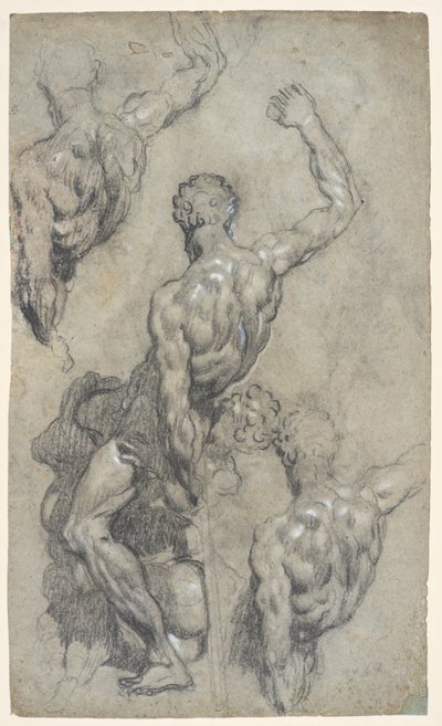 Tanulmányok Michelangelo „Sámson és a filiszteusok” című művéről, 1575–1585 körül (kréta, szén, gouache, papír) alkotó: Jacopo Robusti (workshop of) Tintoretto
