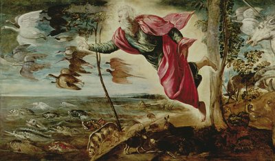 Az állatok teremtése alkotó: Jacopo Robusti Tintoretto