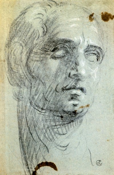 Tintoretto (1518-1594) néven ismert Jacopo Robusti férfi feje, rajz alkotó: Jacopo Robusti Tintoretto