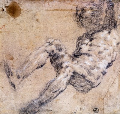 Férfi akt tanulmányozása alkotó: Jacopo Robusti Tintoretto