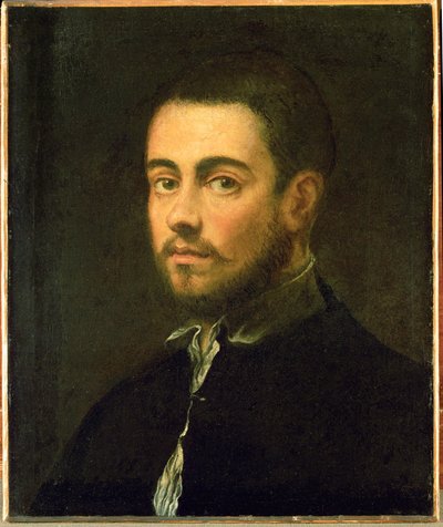 Fiatal férfi szakállal ... (olaj, vászon) alkotó: Jacopo Robusti Tintoretto