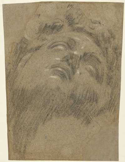 Hoofd van Giuliano dei Medici alkotó: Jacopo Tintoretto