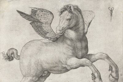 Pegazus, 1509-16 alkotó: Jacopo de Barbari