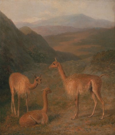 Vicunas alkotó: Jacques-Laurent Agasse
