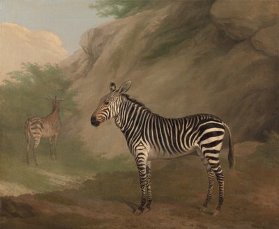 Zebra alkotó: Jacques-Laurent Agasse