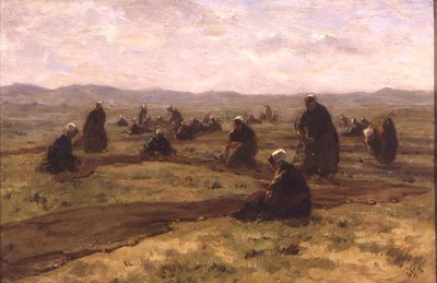Hálók javítása (olaj a panelen) alkotó: Jacques Abraham Zon