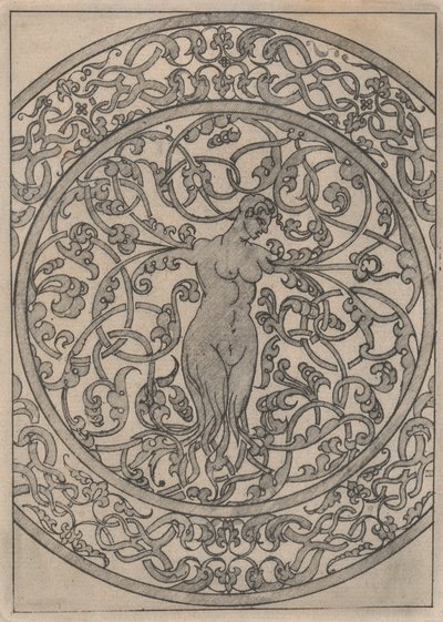 Példányok a „Moreszk átjárót tartalmazó könyv” 11. tábla után, 19. század. alkotó: Jacques Androuet Du Cerceau