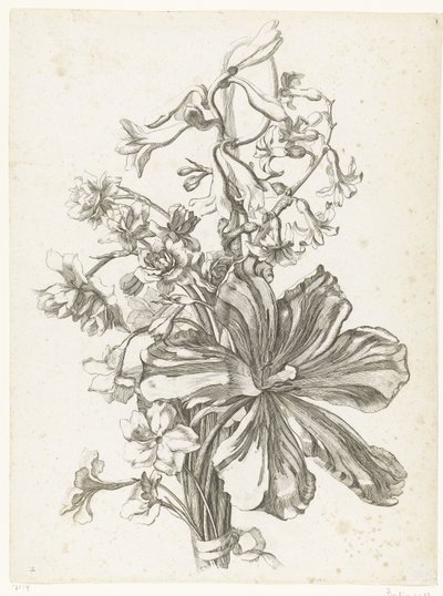 Csokor tulipánnal, jácinttal, brodiaeával és nárciszokkal Diverse Fleurs mises en Boucquets (sorozat címe) alkotó: Jacques Bailly (I)
