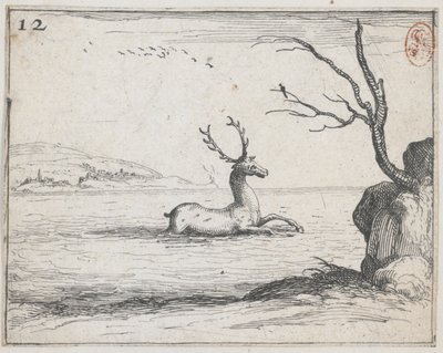 Szarvas a vízben – nem. 12 a sorozatból alkotó: Jacques Callot