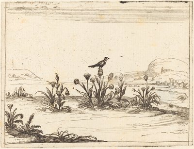 Madár ült a bogáncsban alkotó: Jacques Callot