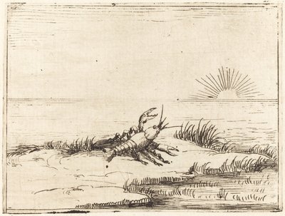 Rák nézi a napot alkotó: Jacques Callot