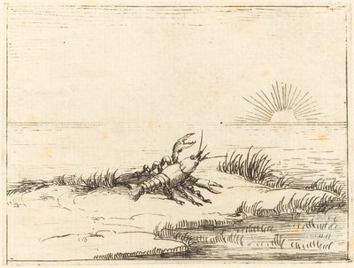 Rák nézi a napot alkotó: Jacques Callot