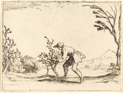 Az ember balzsamfát vág alkotó: Jacques Callot