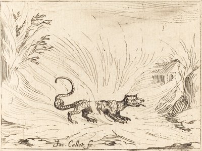 Szalamandra Lángokkal körülvéve alkotó: Jacques Callot