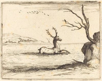 Szarvas a vízben alkotó: Jacques Callot