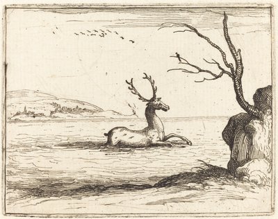 Szarvas a vízben alkotó: Jacques Callot