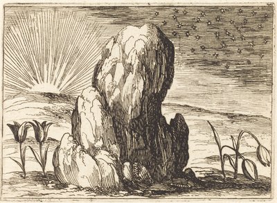 A tulipánok és a nap alkotó: Jacques Callot