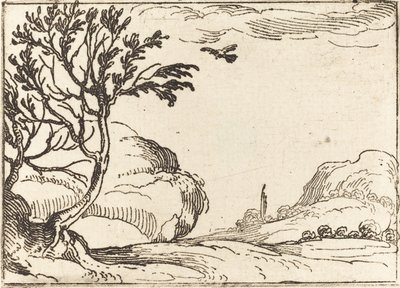 Turtle galamb repül a sivatagban. alkotó: Jacques Callot