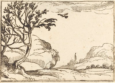 Turtle galamb repül a sivatagban alkotó: Jacques Callot