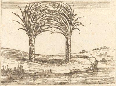 Két pálmafa alkotó: Jacques Callot