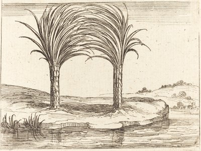 Két pálmafa alkotó: Jacques Callot