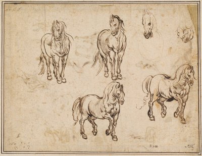 Lovatanulmányok [recto] alkotó: Jacques Callot after Antonio Tempesta