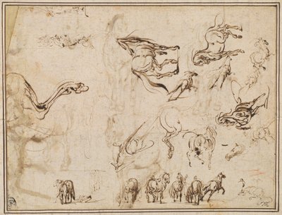 Lovatanulmányok [verso] alkotó: Jacques Callot after Antonio Tempesta