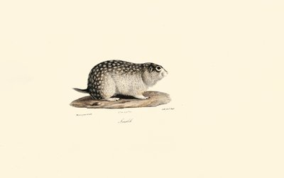  alkotó: Jacques Christophe Werner