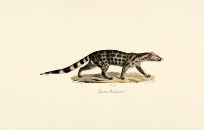  alkotó: Jacques Christophe Werner