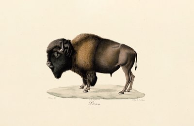  alkotó: Jacques Christophe Werner