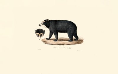  alkotó: Jacques Christophe Werner