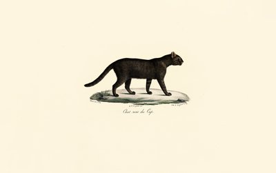  alkotó: Jacques Christophe Werner