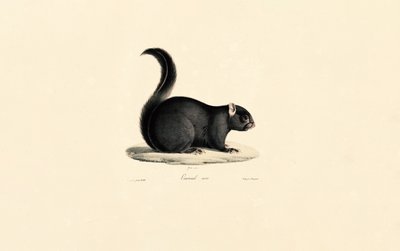  alkotó: Jacques Christophe Werner