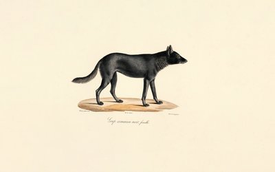 alkotó: Jacques Christophe Werner