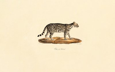  alkotó: Jacques Christophe Werner