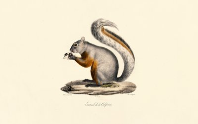  alkotó: Jacques Christophe Werner