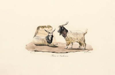  alkotó: Jacques Christophe Werner