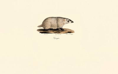  alkotó: Jacques Christophe Werner