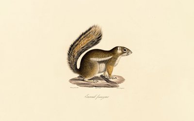  alkotó: Jacques Christophe Werner